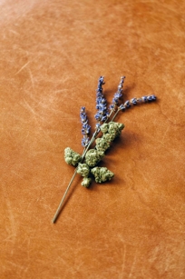 Image of marijuana on branch 